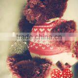 2014toy Sweater Free Knitting Pattern,wool Sweater Design for Pets,designer Toy Sweater thumbnail-1