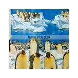 PVC Lace Edging and PVC Quiltings thumbnail-3