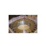 ANSI Flange
