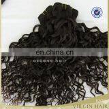 Super Quality Hot Selling Free Shedding Raw Unprocessed Cambodian Loose Curly Hair Wefts thumbnail-5