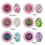 3D Dried Flower Gel Polish Decoration Transparent Gel Acrylic UV Gel Nail Art