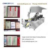 Single Sachet Wet Wipes Packaging Machine Supplier thumbnail-2