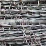 Galvanized Barbed Wire