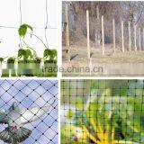 100% PP Plastic Stetching Net for Manufacturing/deer Fence thumbnail-2
