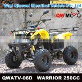 CE Racing 4 Wheel Motorcycles Racing Buggy Adult 250cc Quad Bike ATV for Sale thumbnail-1