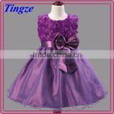 Fashion wholesale boutique beautiful fairy tale princess party dresses for girls of 7 years old TR-WS17