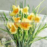 Onion Grass Artificial Flower Plant Cheap Bonsai Plants for Sale thumbnail-3