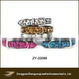 Dog Leashes and Collars Leather Pet Circle Pet Accessories