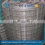 Welded Wire Mesh/PVC Welded Wire Mesh