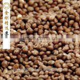 Brown Perilla Seeds for Oil/china Periiia Oil Supplier's Choice thumbnail-3