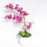 Phalaenopsis Orchid Silk Flower Arrangement thumbnail-1