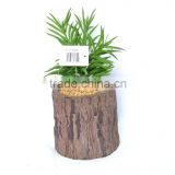 Green Artificial Succulent Plant In Brown Pot With Stone