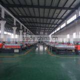 High Quality Parallel Co- Rotating Twin Screw Extruder for CPP/CPE/SBS/EPDM/SEB/FPM/BR Pelletizing thumbnail-6