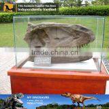 MY Dino-C086 Museum t Rex Dinosaur Head Skeleton thumbnail-3