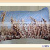 3d Printed Four Season Pillow Cover