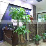 Aoxi Fashion Garment Limited Company (Dongguan) company overview - view 2 thumbnail