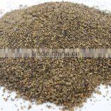Organic Black Goji Berry Seeds thumbnail-1