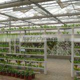 PC Sheet Polaycarbonate Greenhouse Kits thumbnail-5