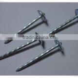 Large Head Roofing Nail China Nail Factory Price From China thumbnail-4