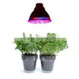 Best Sell Professional Led Light for Indoor Plant Light Fixtures of Led Grow Light Spectrum King thumbnail-3
