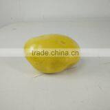 Decorative Artificial Tomato Fake Potato Lifelike Onion Wholesale thumbnail-6
