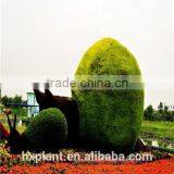 Small Sculpture Aritificial Green Sculpture Plastic Fake Plant Artificial Sculpture Artificial Statue thumbnail-2