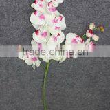 Artificial Cream Phalaenopsis Orchids With Coated thumbnail-1