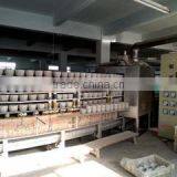 Fujian Quanzhou Longpeng Group Co., Ltd. company overview - view 3 thumbnail