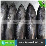 Carton or Woven Bag Packed Without Faure Marin Iced Bonito thumbnail-2