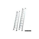 Supported Profiles for Lifting Ladders thumbnail-1