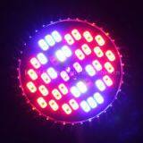 Par 20/30/38 Led Grow Light thumbnail-1