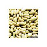 Sell Pine Nut Kernel thumbnail-1