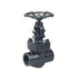 Screwed End Forged Steel Globe Valves thumbnail-1