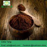 Reishi Mushroom Powder thumbnail-3