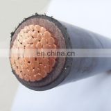 0.6/1KV N2XY Single Core Conductor Power Cable XLPE/PVC Cable Flat Conductor Power Cable thumbnail-5