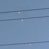 Electric Power Overhead Type Cable Fault Indicator thumbnail-3