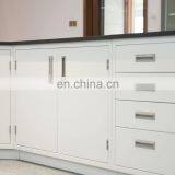 Metal Steel Material Cosmetics Lab Table Skincare Lab Desk American Standard