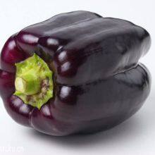 Purple Hybrid Blocky Sweet Pepper Seeds thumbnail-2
