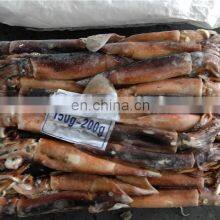 China Factory Whole Round Argentina Illex Squid Frozen Illex Squid 100-150 150-200 200-300 thumbnail-5