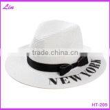 Aluminum Finish Mosquito Net With Good Price per Meter