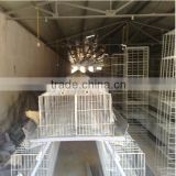 layer cheap chicken coops/metal chicken coop for sale /chicken cages shipping from china