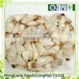 2014 Fresh Pleurotus Eryngii for Sale thumbnail-1