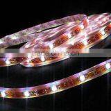 Flexible Digital Lpd8806 Led Strip