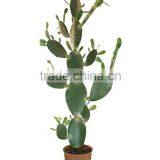 High Quality Decorative artificial cactus