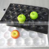 Plastic Apple Insert Tray With Dividers