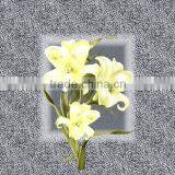 Thick Polyester Bedsheet Fabric in Flat Printing