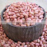 Peanut Kernels in 25kg Bags thumbnail-1