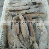 Illex Squid W/R thumbnail-4