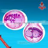 Competitive Price Microscope Accessories Glass Parasitology Slide Set Quality Choice thumbnail-4