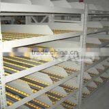 ISO 9001 live gravity carton flow rack